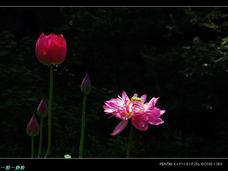 imgp9873.jpg