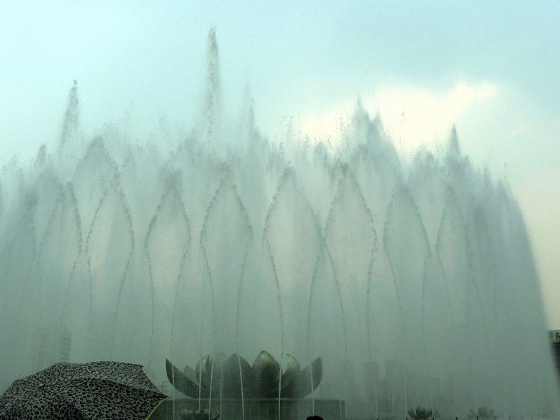 p1120879.jpg