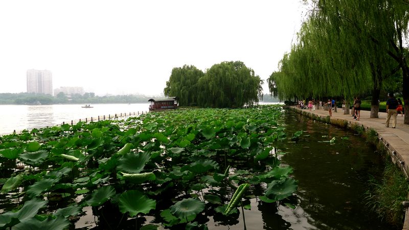 p1120912.jpg