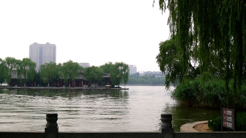 p1120914.jpg