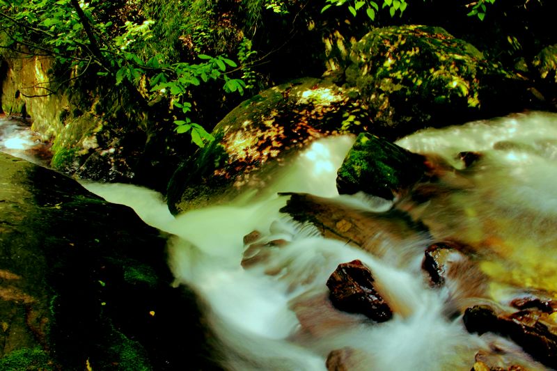_mg_4007.jpg