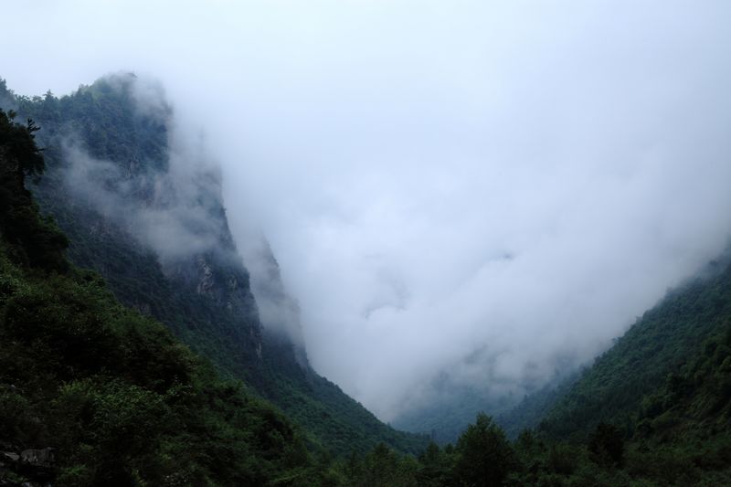 _mg_8593.jpg