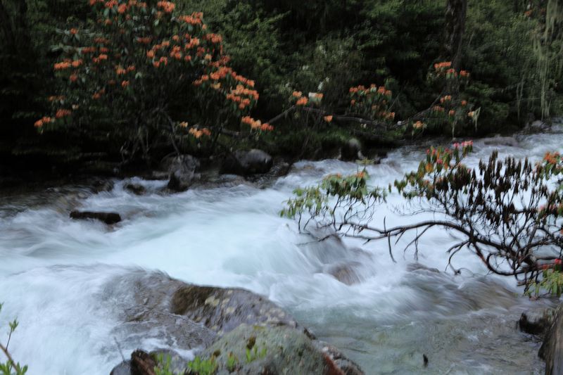 _mg_8677.jpg