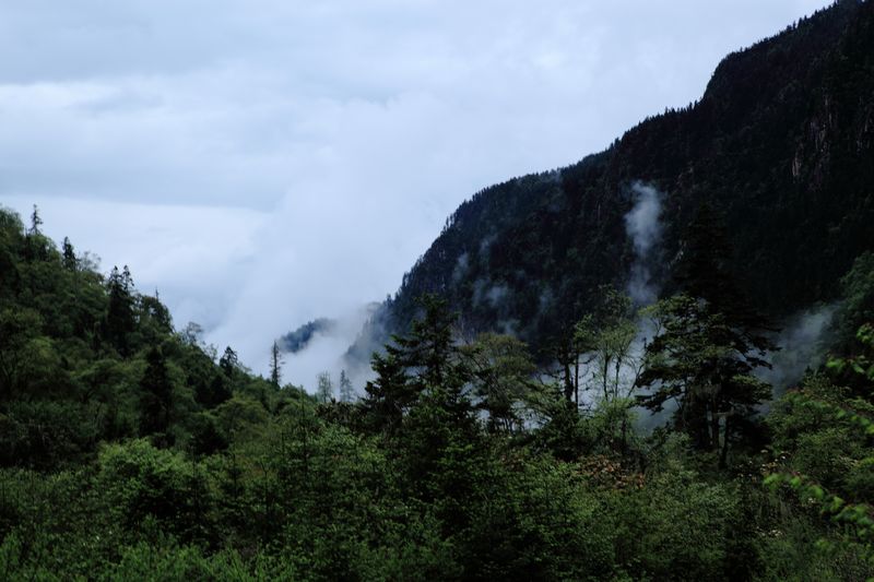 _mg_8691.jpg