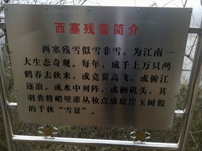 2012-02-02_13-35-01_124.jpg