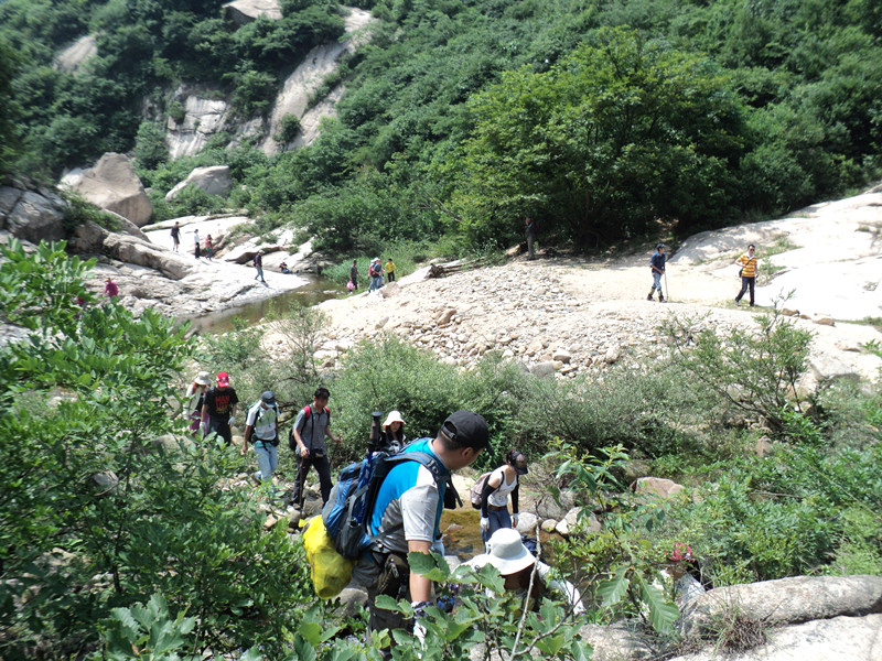 dsc08569_.jpg