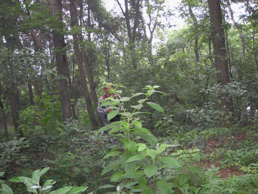 20126´󶫺 154.jpg