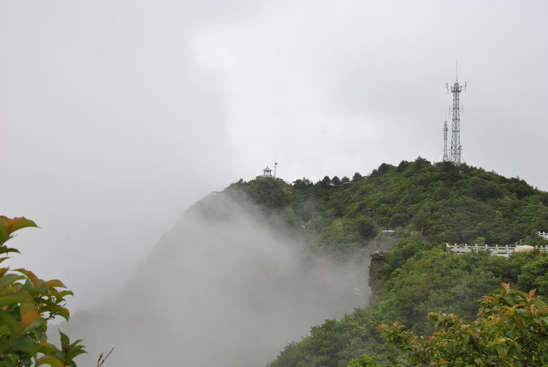 dsc_0097_С.jpg