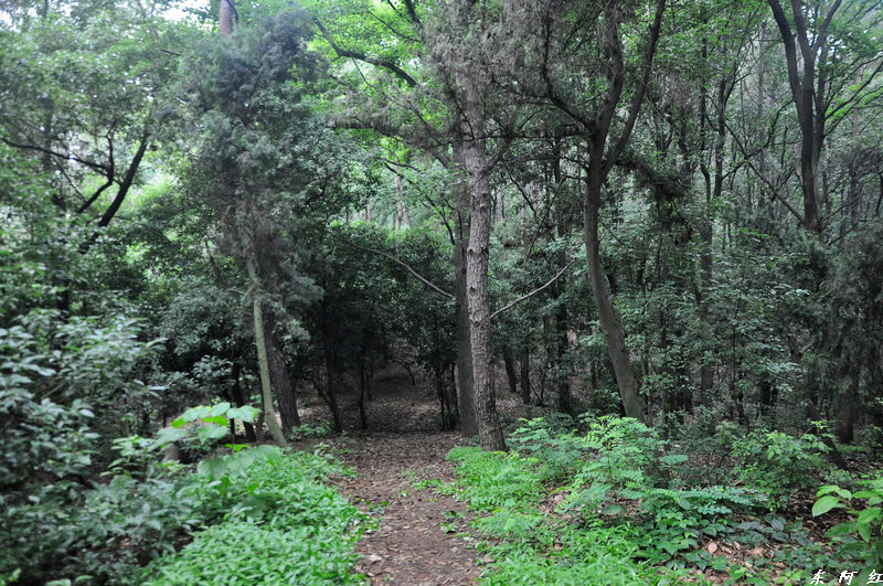 dsc_0115.jpg