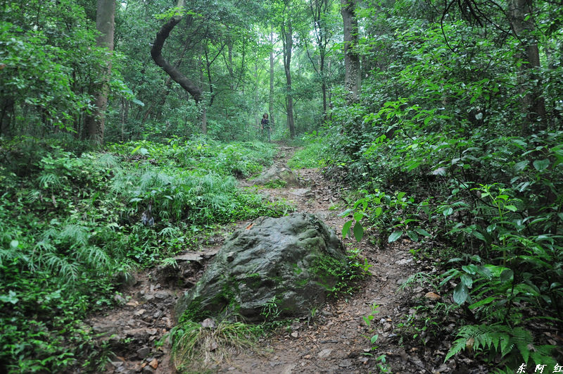 dsc_0121.jpg