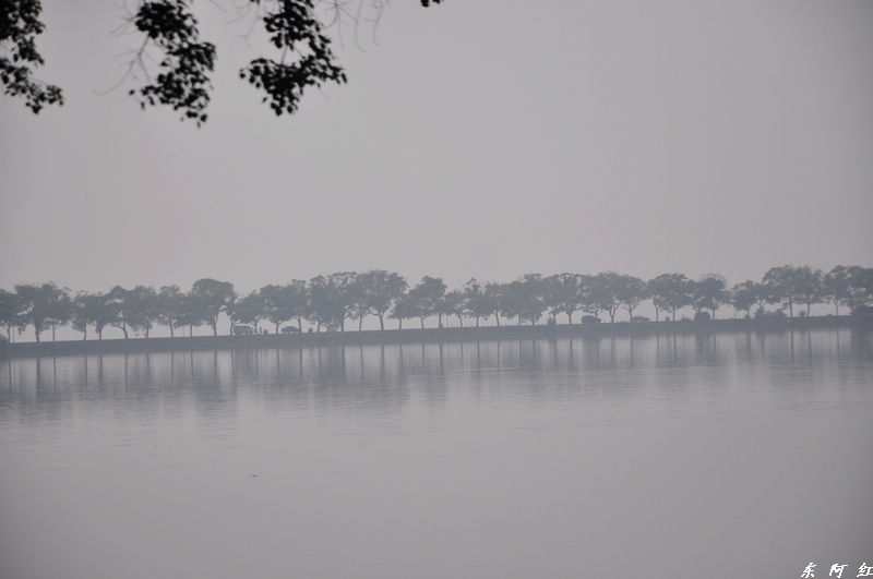 dsc_0178.jpg