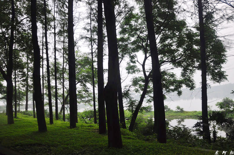 dsc_0200.jpg