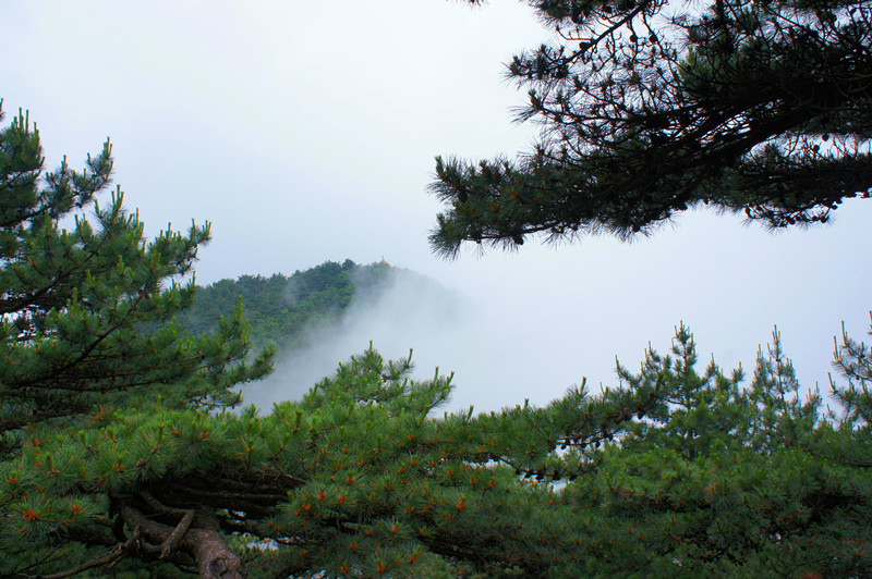 dsc00037.jpg