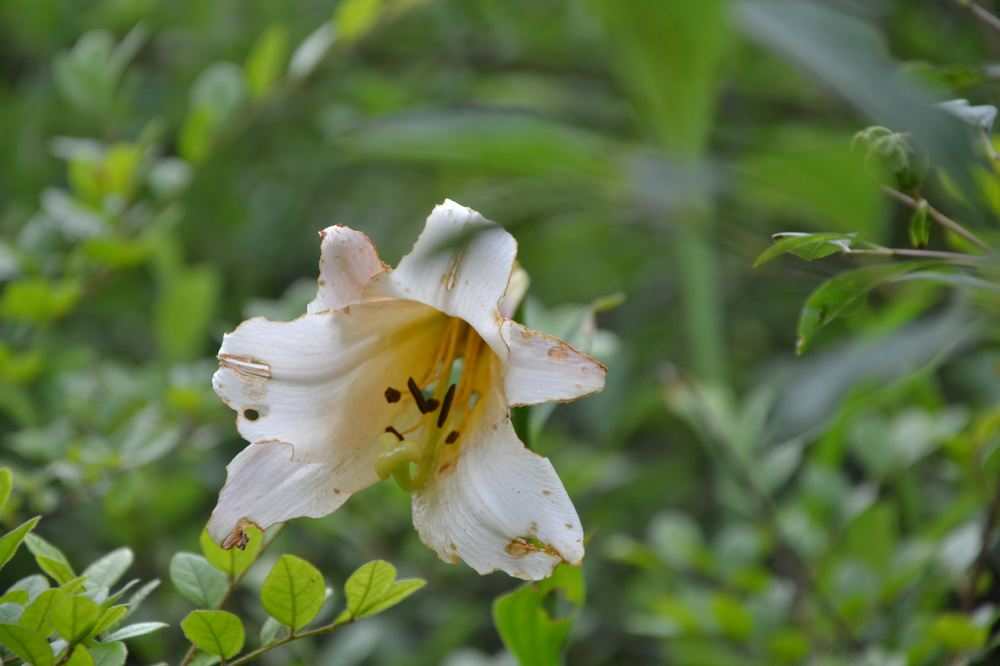 2012.6.3Ů̶063.jpg