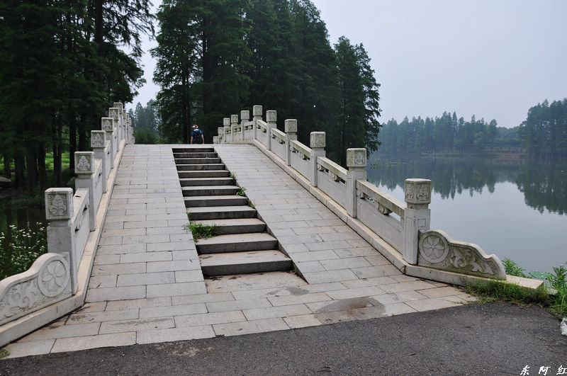 dsc_0337.jpg