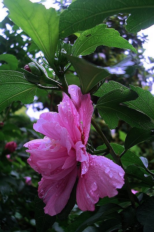 dsc00630.jpg
