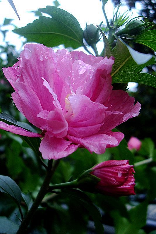 dsc00672.jpg