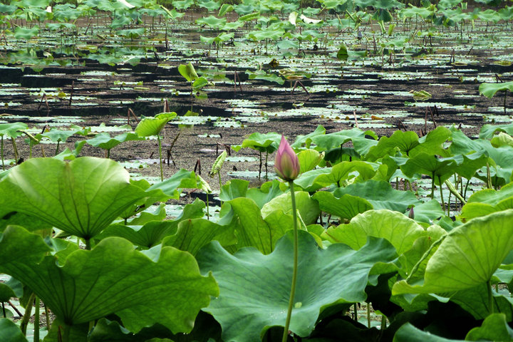p1010382.jpg