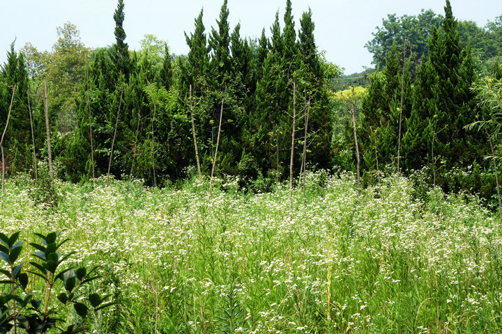 p1010455.jpg