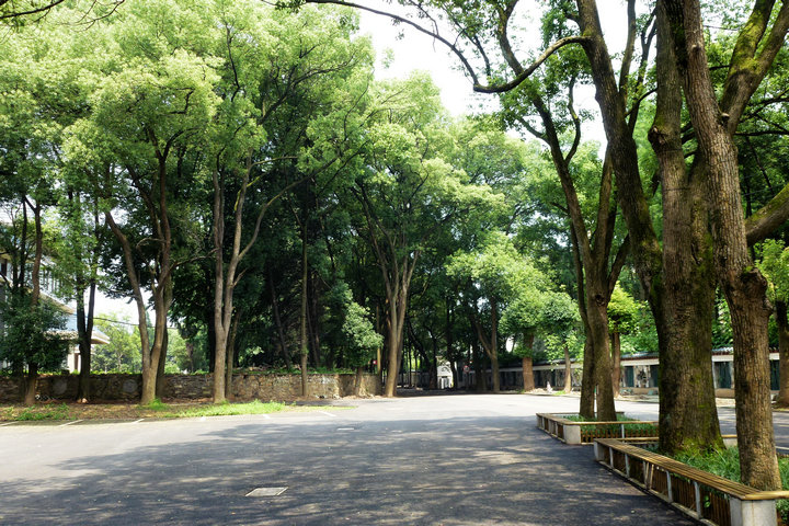 p1010445.jpg