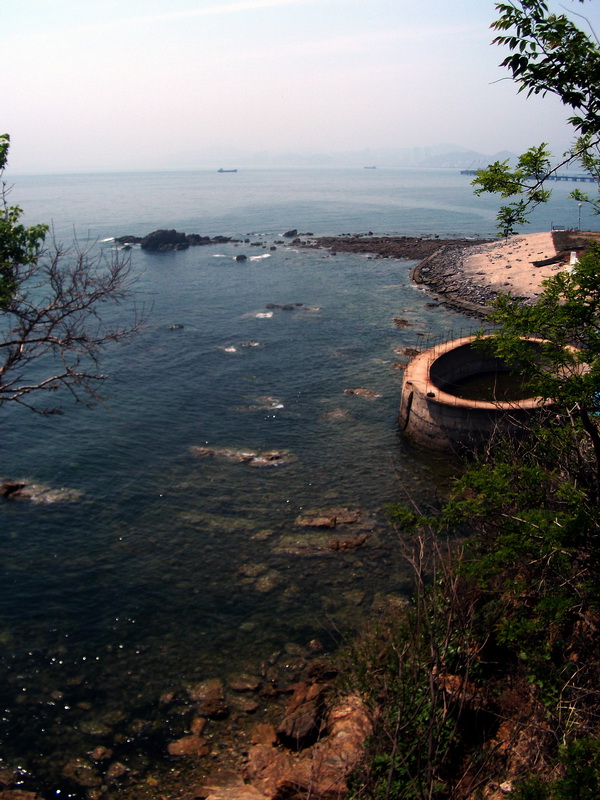 dscf0218.jpg
