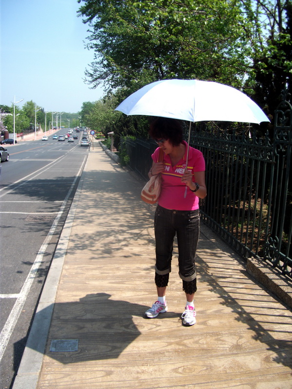 dscf0247.jpg