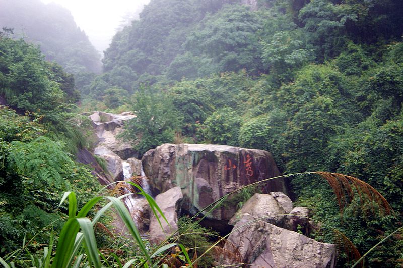 dsc02004.jpg