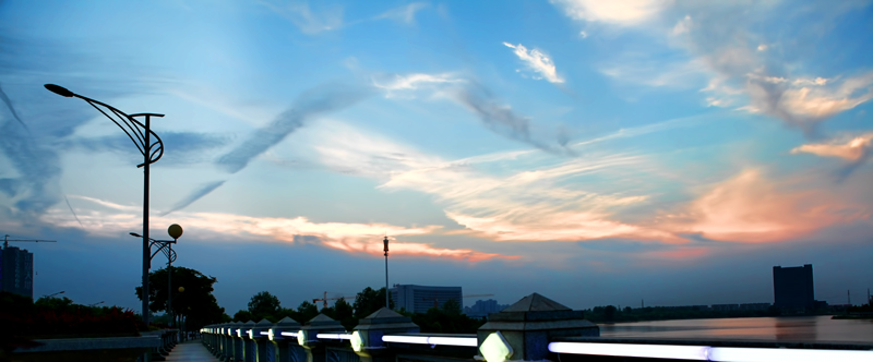 img_8594------f.jpg