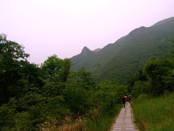 dscf4779.jpg