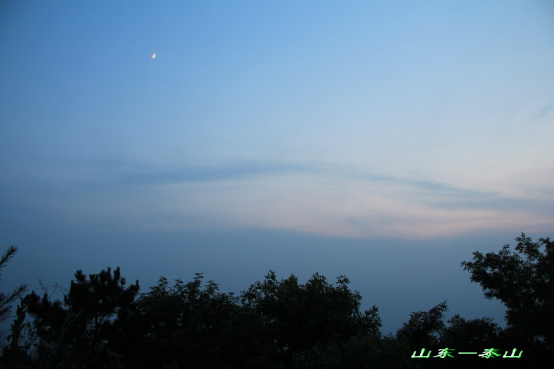img_4817_СС.jpg