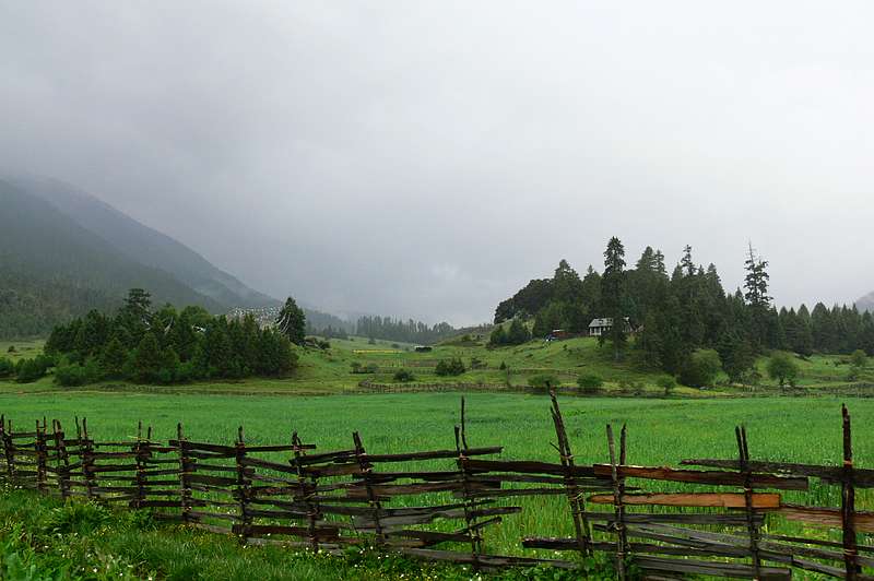 p1210685.jpg