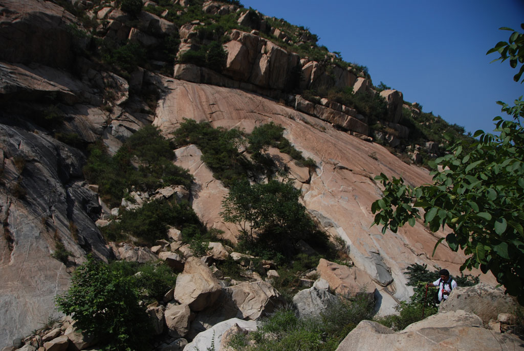 dsc_0953.jpg