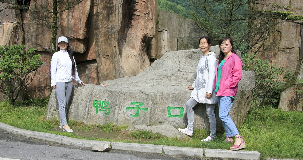_mg_0485.jpg