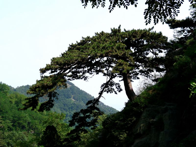 p1130076.jpg