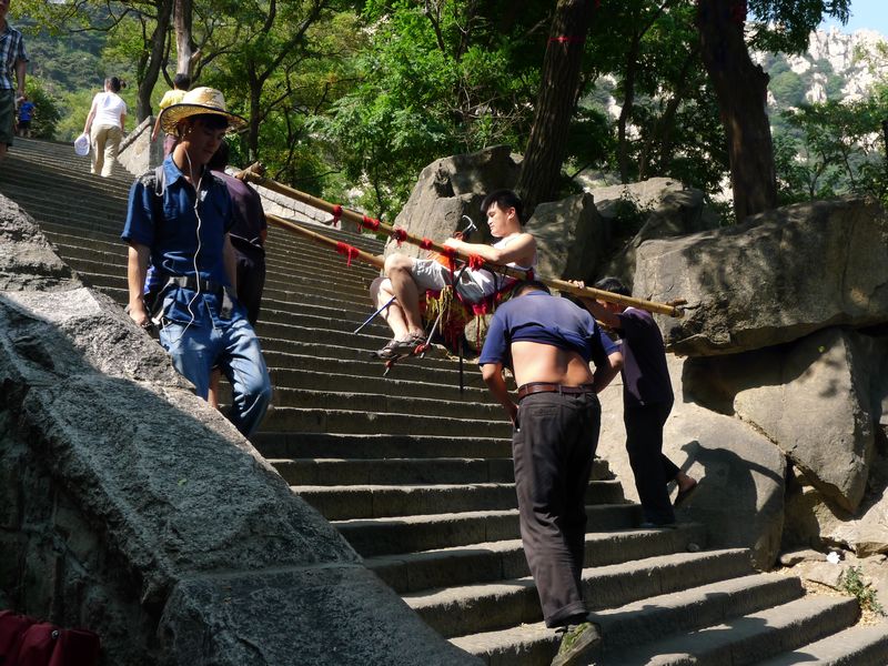 p1130084.jpg