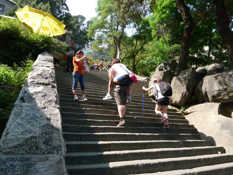 p1130086.jpg