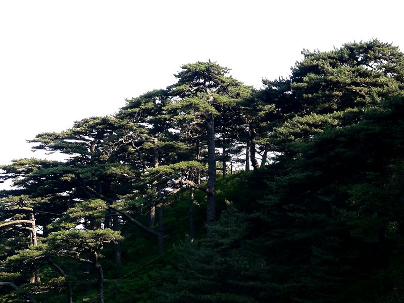 p1130122.jpg