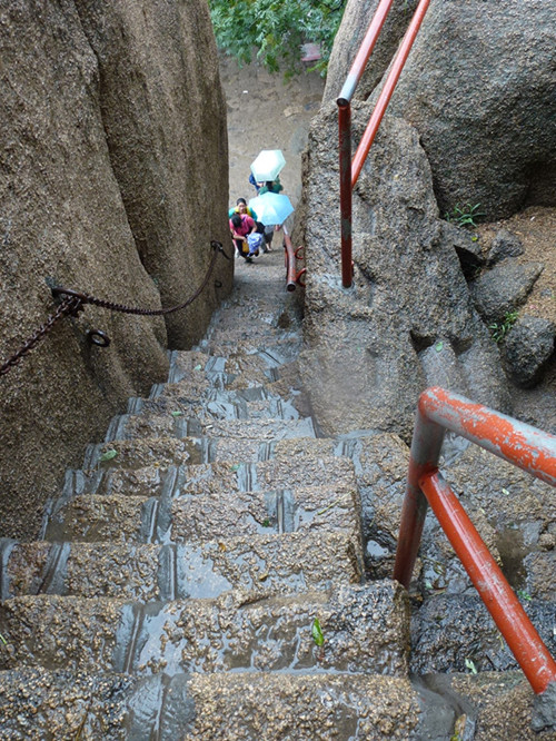 p1070529__.jpg