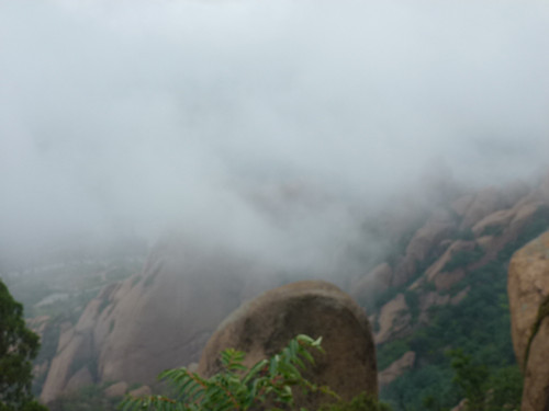 p1070579_.jpg