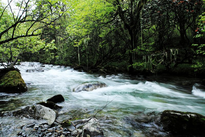 _mg_8749.jpg