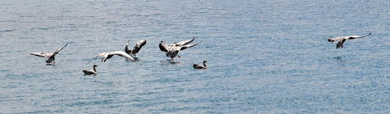 dsc_2094.jpg