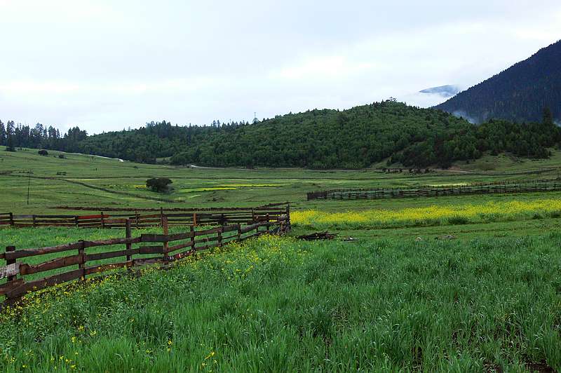 p1210717.jpg