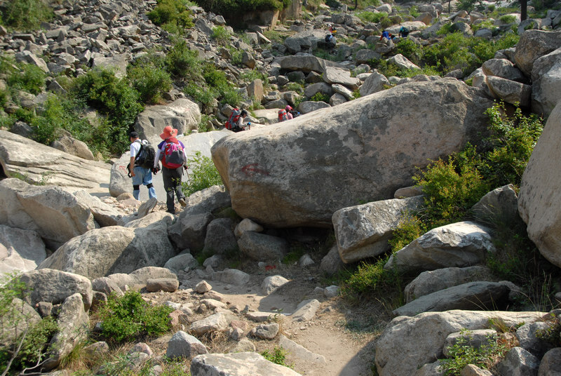 dsc_0231.jpg