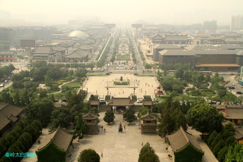conew_img_6695.jpg