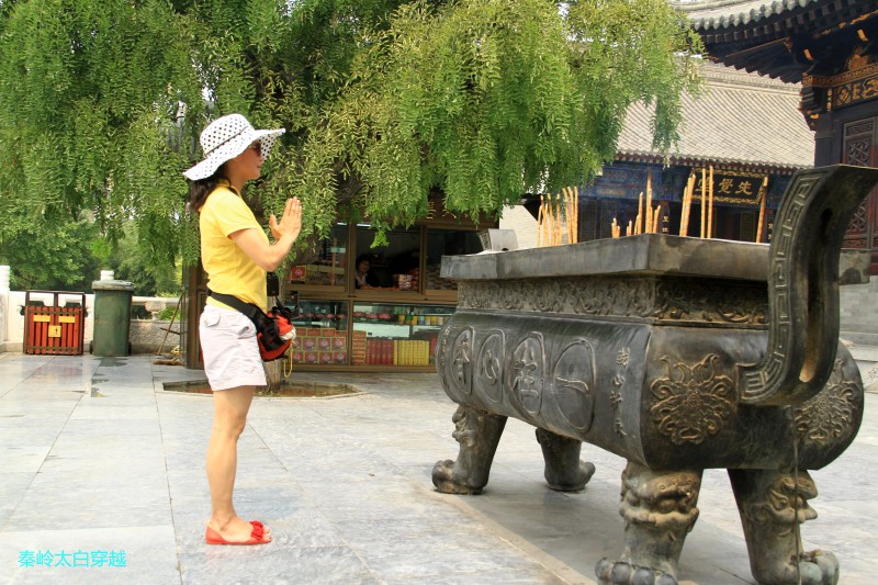 conew_img_6686.jpg