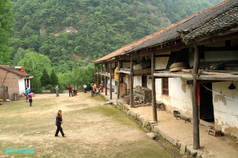 conew_img_6704.jpg