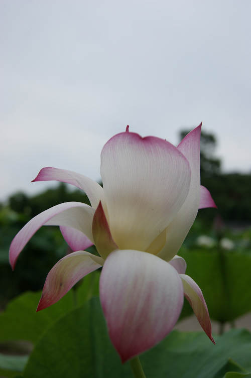 dsc02830.jpg