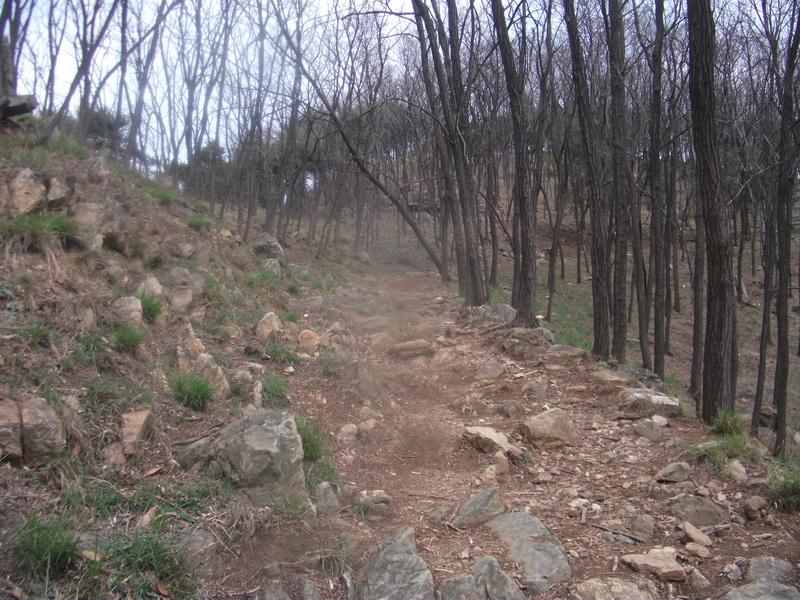 dscf0534.jpg