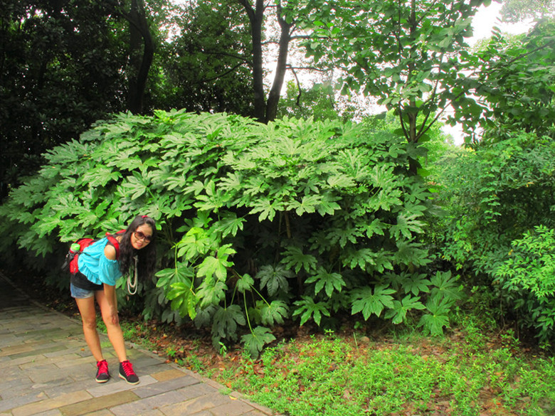 20120714ĥɽͽ 050__.jpg