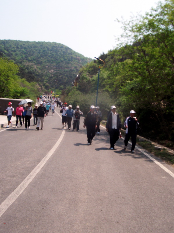 dscf0527.jpg